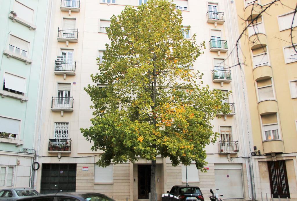 Casa Da Praceta Apartment Lisboa Екстериор снимка